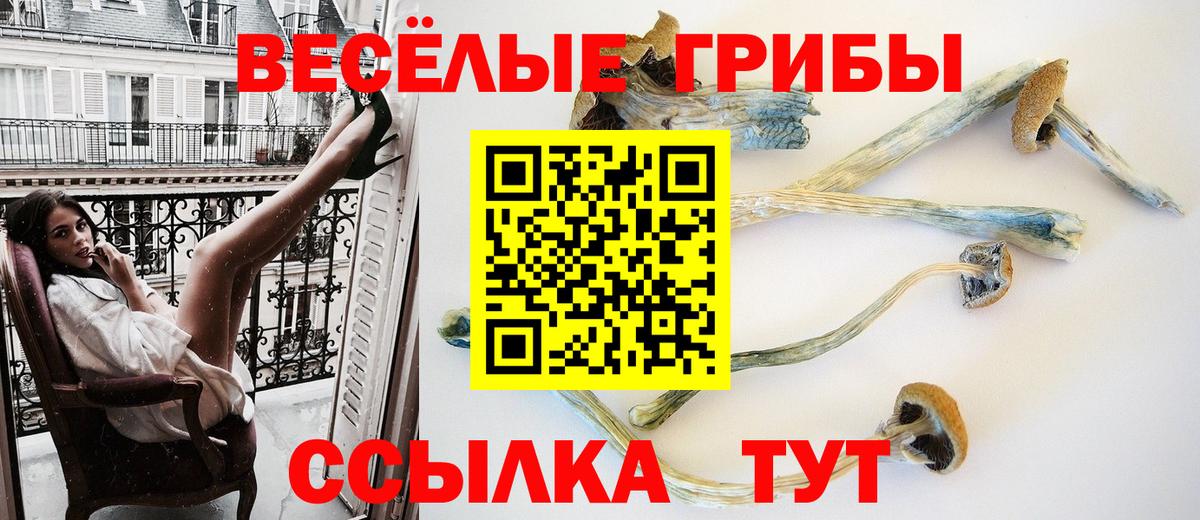 Галлюциногенные грибы GOLDEN TEACHER  Вход с VPN  Галлюциногенные грибы MAGIC MUSHROOMS  Красноярск 